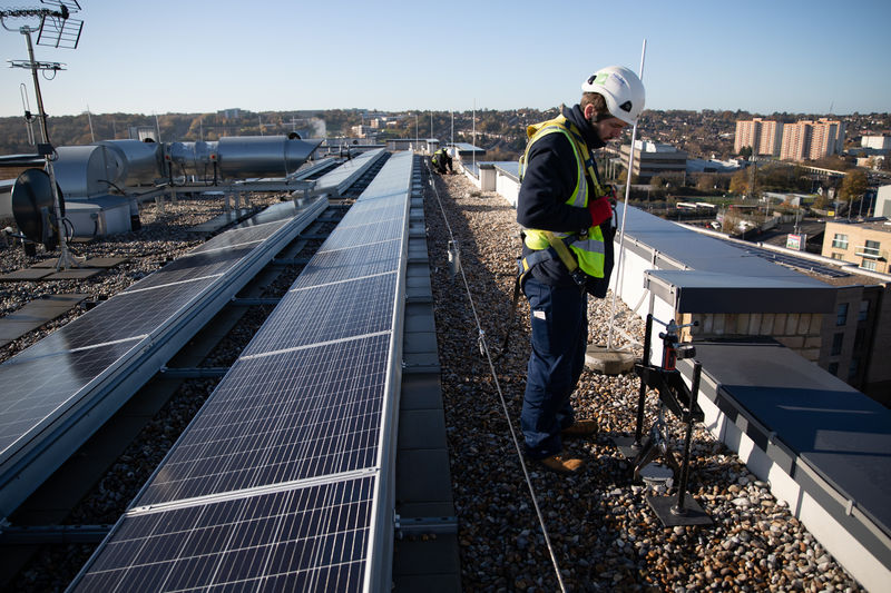 Lifeline fall protection system